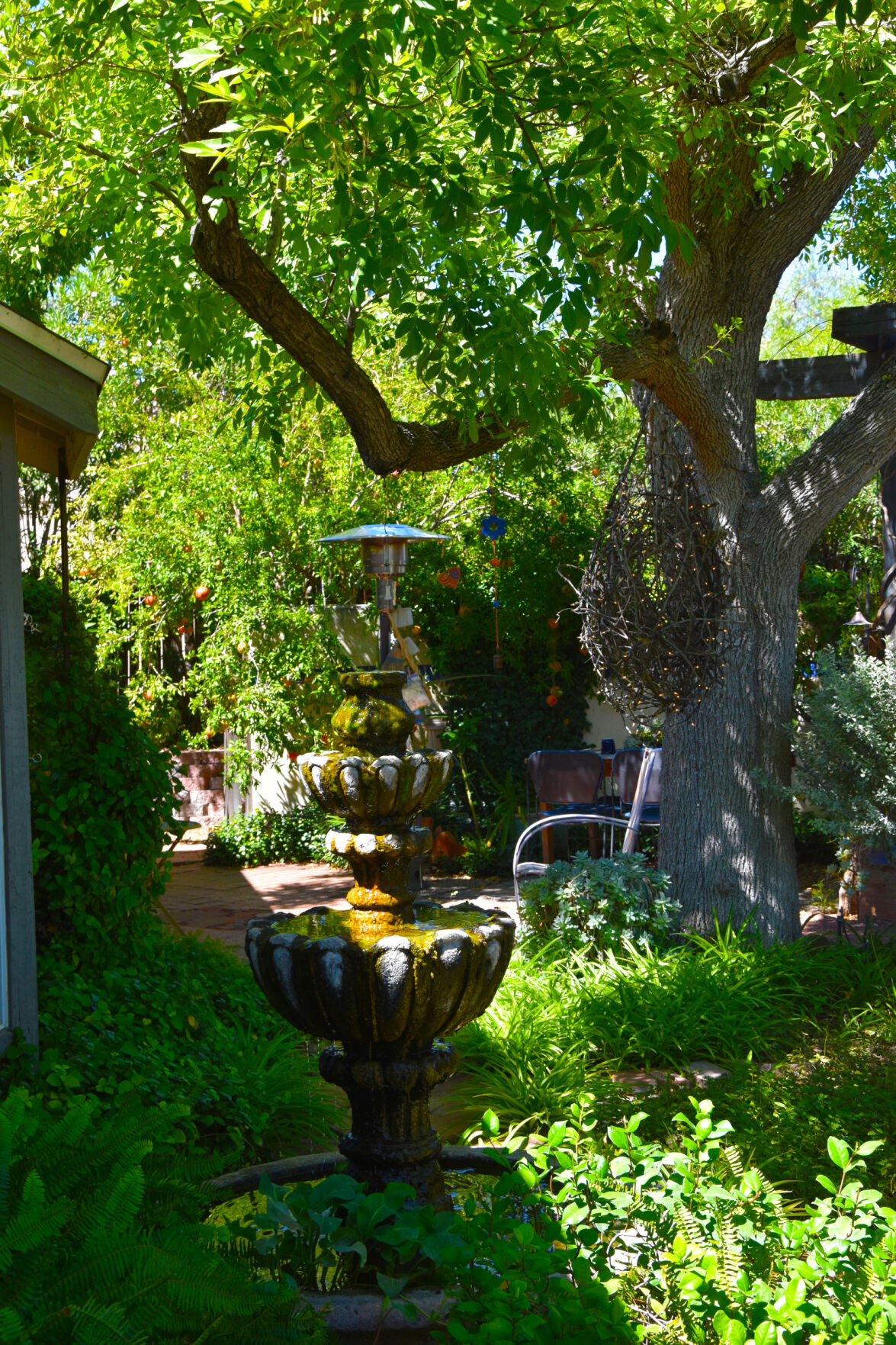 2023 Master Gardener Home Garden Show
